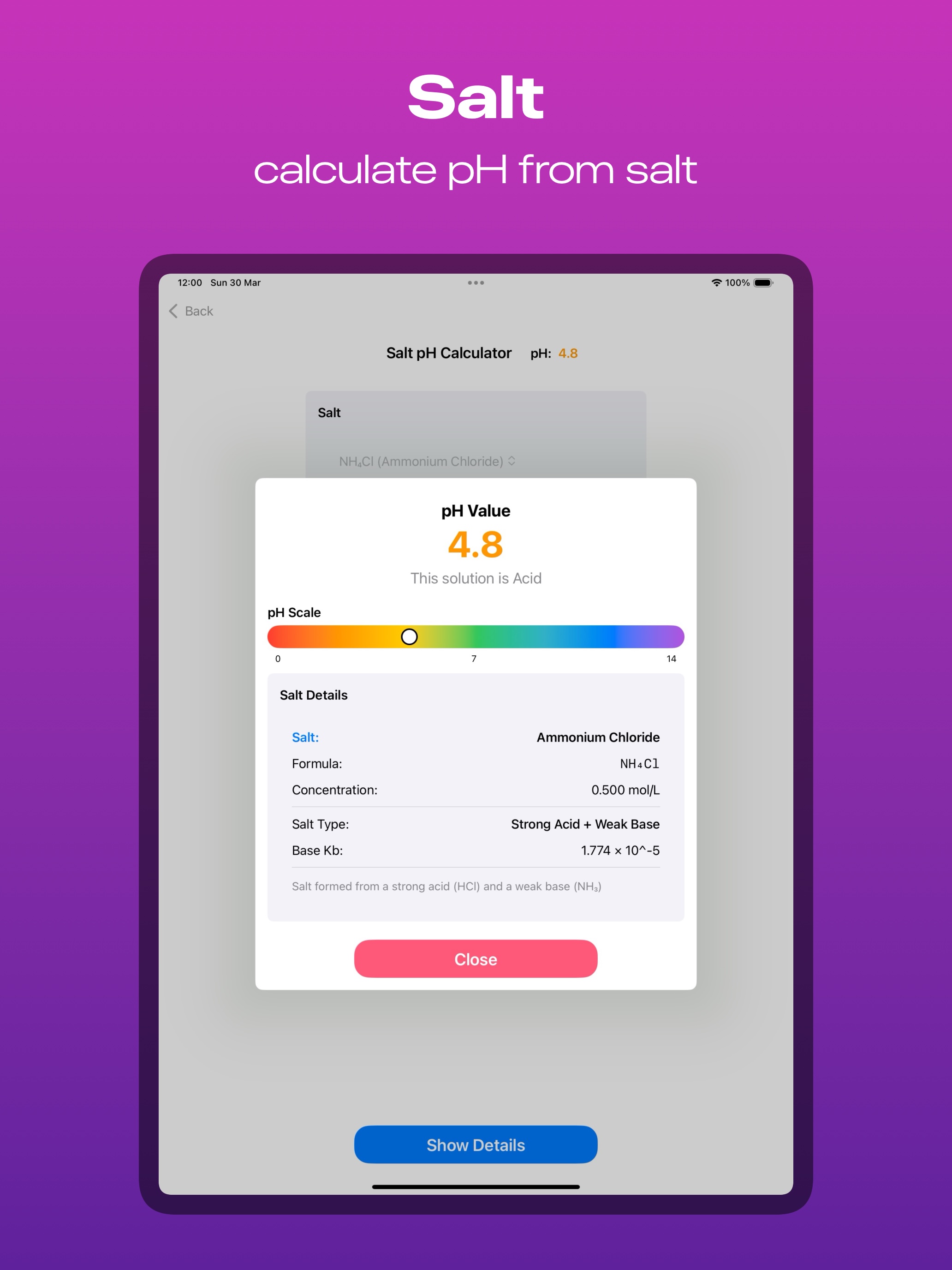 iPad Screenshot 8